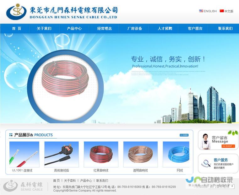 东莞专业网站开发：从设计到上线，全方位满足您的企业数字化需求