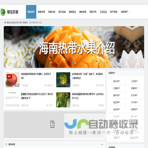 海南特产_海南土特产_椰岛农事